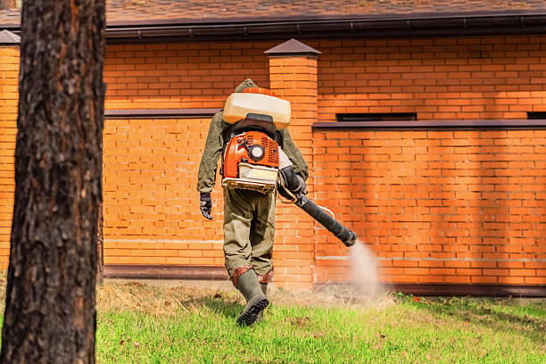 Trusted Cockroach Control service in West Nyack, NY - Nex Pest Control